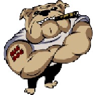 Big Dog